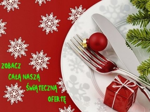 Czapka Elfa krasnala czapki dla elfów skrzatów SW Czapka Elfa krasnala czapki dla elfów skrzatów SW