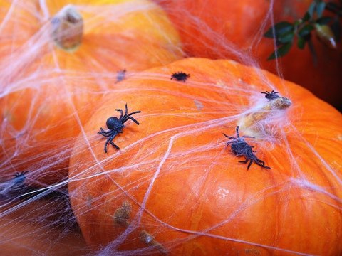 Dekoracje na Halloween balony baner pajęczyny 21el Dekoracje na Halloween balony baner pajęczyny 21el