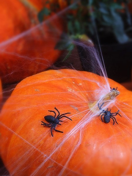 Pomarańczowa pajęczyna na Halloween + 2 pająki 60g Pomarańczowa pajęczyna na Halloween + 2 pająki 60g