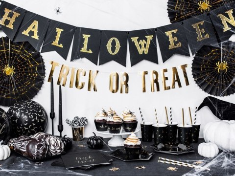 Zestaw dekoracje ozdoby pająki sieć na Halloween Zestaw dekoracje ozdoby pająki sieć na Halloween